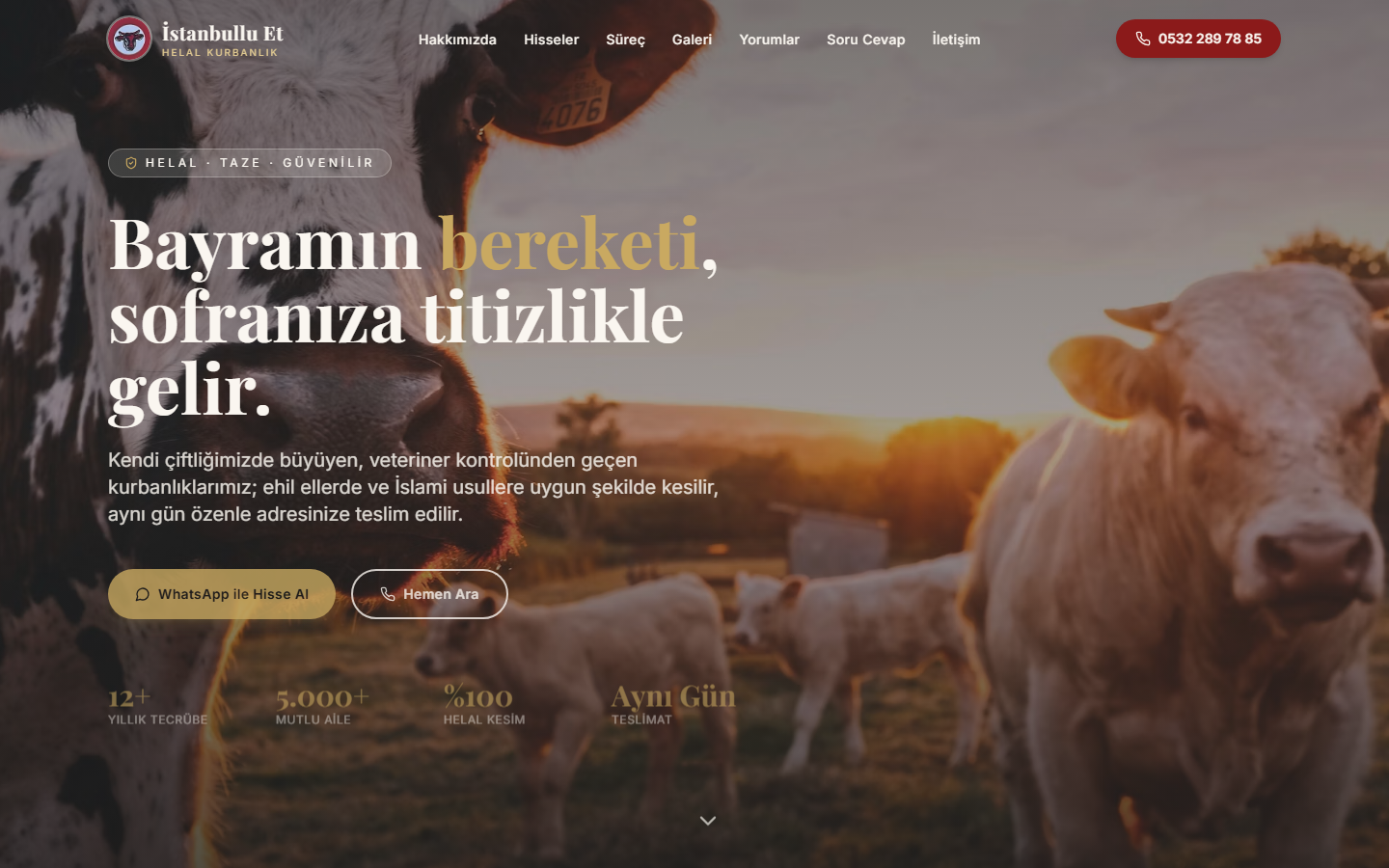 İstanbullu Et Kurban web sitesi önizlemesi